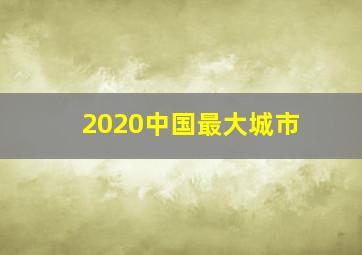 2020中国最大城市