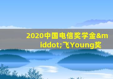 2020中国电信奖学金·飞Young奖