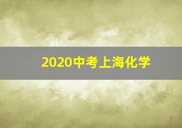 2020中考上海化学