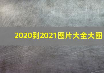 2020到2021图片大全大图