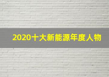 2020十大新能源年度人物