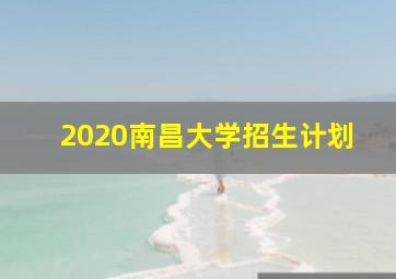 2020南昌大学招生计划