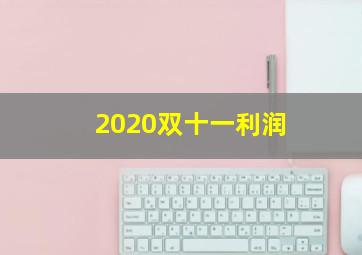 2020双十一利润