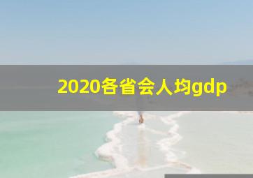 2020各省会人均gdp