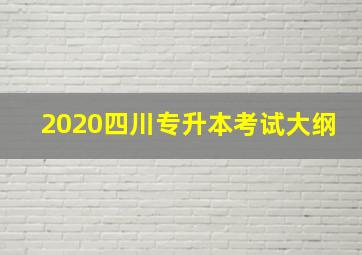 2020四川专升本考试大纲