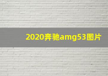 2020奔驰amg53图片