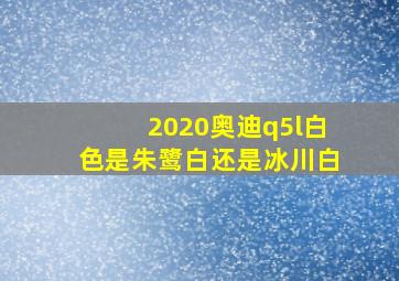 2020奥迪q5l白色是朱鹭白还是冰川白