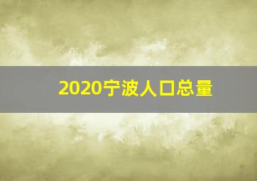 2020宁波人口总量