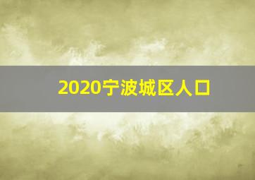 2020宁波城区人口