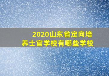 2020山东省定向培养士官学校有哪些学校