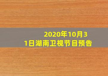 2020年10月31日湖南卫视节目预告