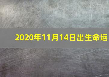 2020年11月14日出生命运