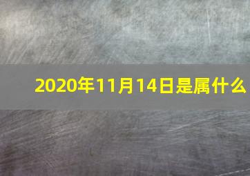 2020年11月14日是属什么