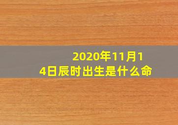 2020年11月14日辰时出生是什么命