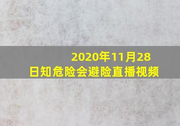 2020年11月28日知危险会避险直播视频