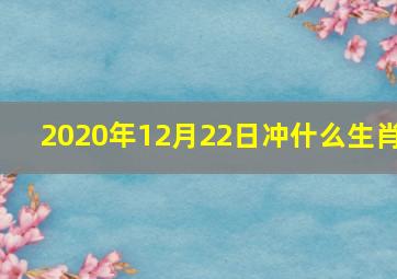 2020年12月22日冲什么生肖