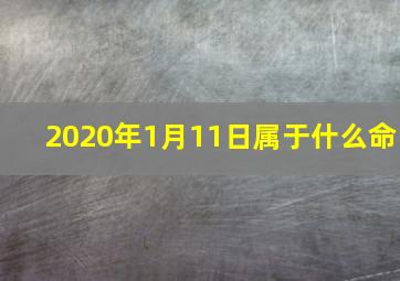 2020年1月11日属于什么命