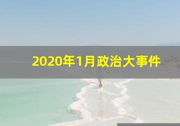 2020年1月政治大事件