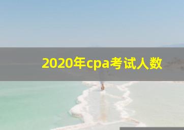 2020年cpa考试人数