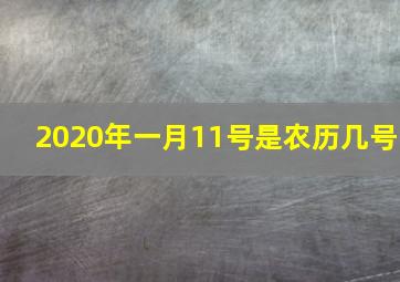 2020年一月11号是农历几号