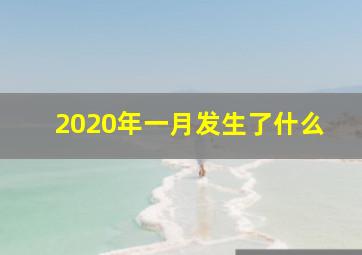 2020年一月发生了什么