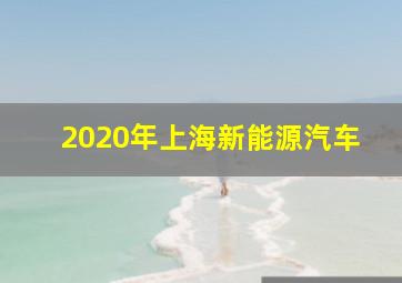 2020年上海新能源汽车