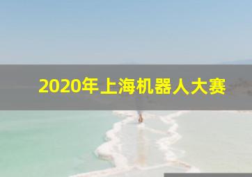 2020年上海机器人大赛