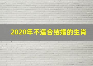 2020年不适合结婚的生肖