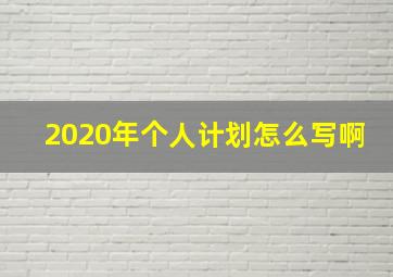 2020年个人计划怎么写啊