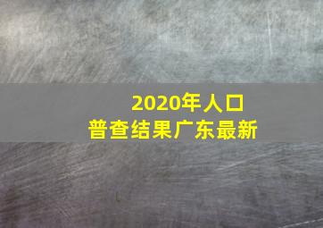 2020年人口普查结果广东最新