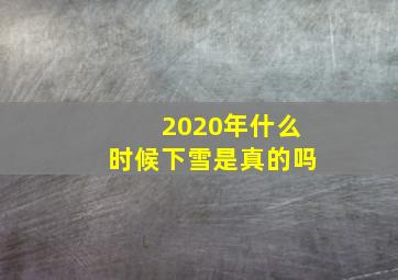 2020年什么时候下雪是真的吗