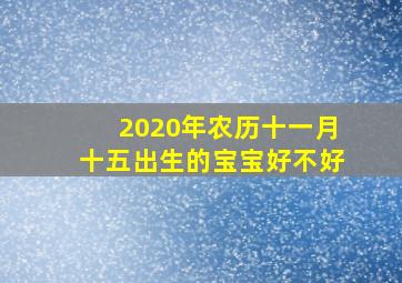 2020年农历十一月十五出生的宝宝好不好