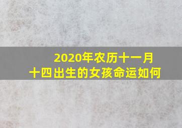 2020年农历十一月十四出生的女孩命运如何