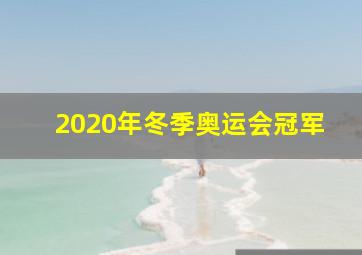 2020年冬季奥运会冠军