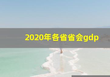 2020年各省省会gdp