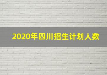 2020年四川招生计划人数