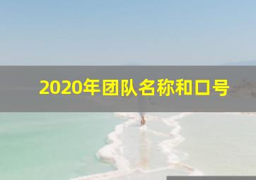 2020年团队名称和口号