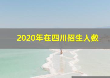 2020年在四川招生人数