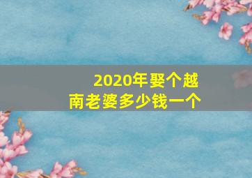 2020年娶个越南老婆多少钱一个