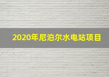 2020年尼泊尔水电站项目