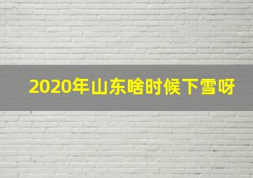 2020年山东啥时候下雪呀