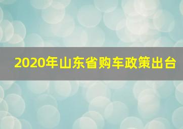 2020年山东省购车政策出台