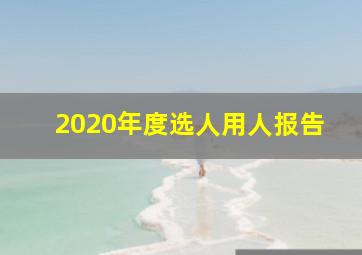 2020年度选人用人报告