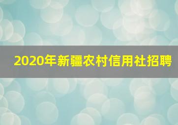 2020年新疆农村信用社招聘