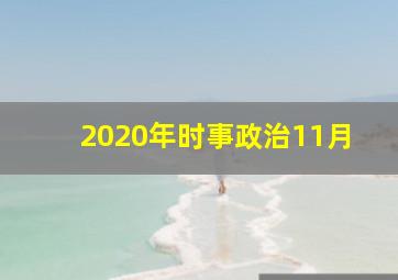 2020年时事政治11月