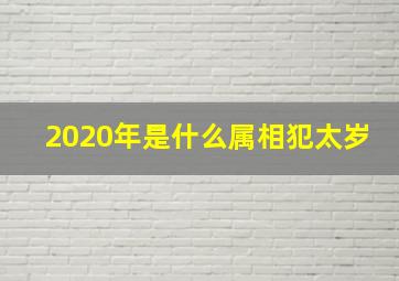 2020年是什么属相犯太岁