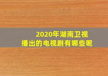 2020年湖南卫视播出的电视剧有哪些呢