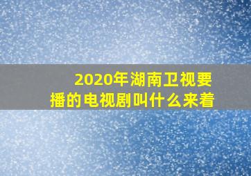 2020年湖南卫视要播的电视剧叫什么来着