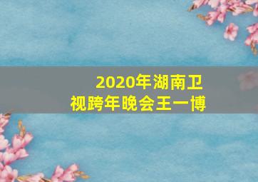 2020年湖南卫视跨年晚会王一博