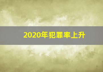 2020年犯罪率上升